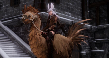 Fluffy chocobo Fluffy chocobo