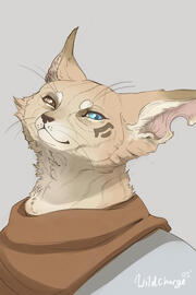 colored and shaded colored and shaded